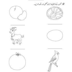 A black and white matching worksheet featuring various objects and blank lines for writing corresponding Urdu letters.