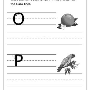 May include: An educational worksheet with the text Trace and name each letter. Print each letter on the blank lines. It features the uppercase letter O with an orange illustration and the uppercase letter P with a parrot illustration on branches.