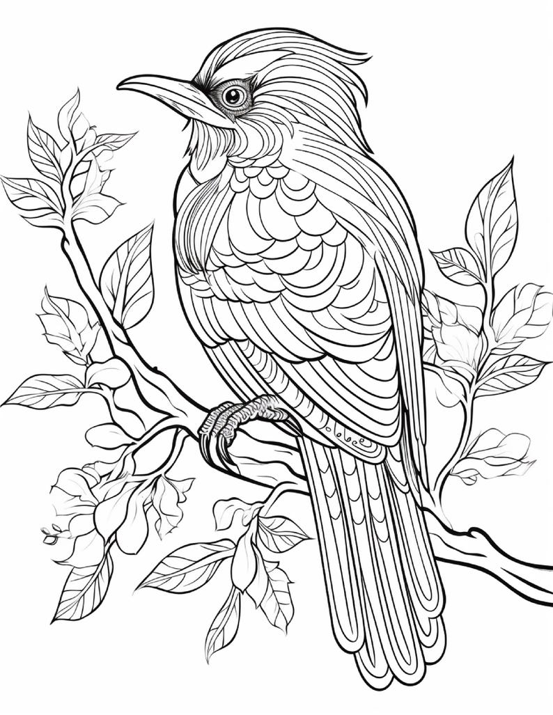 May include: A black and white line art illustration of a bird perched on a leafy branch. The bird features intricate, flowing patterns on its feathers, a sharp beak, and a prominent eye. The surrounding branch is adorned with several detailed leaves.