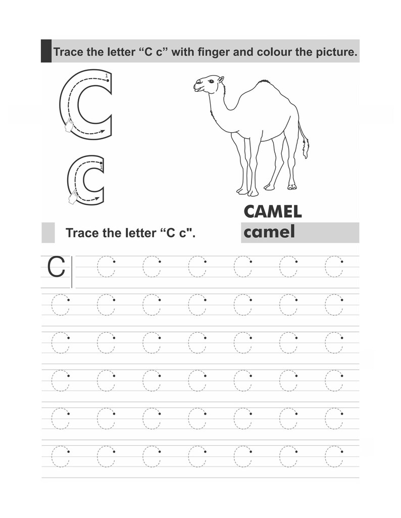 A tracing worksheet for the letter C featuring an outline drawing of a camel.