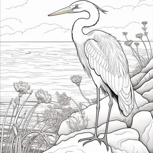 K&ouml;nnte beinhalten: Eine schwarz-wei&szlig;e Strichzeichnung eines gro&szlig;en Reihers, der auf einem felsigen Ufer steht. Der Vogel hat einen langen Hals und einen spitzen Schnabel und ist vor einer Kulisse aus ruhigem Wasser, entfernten Wolken und wilden K&uuml;stenpflanzen zu sehen.