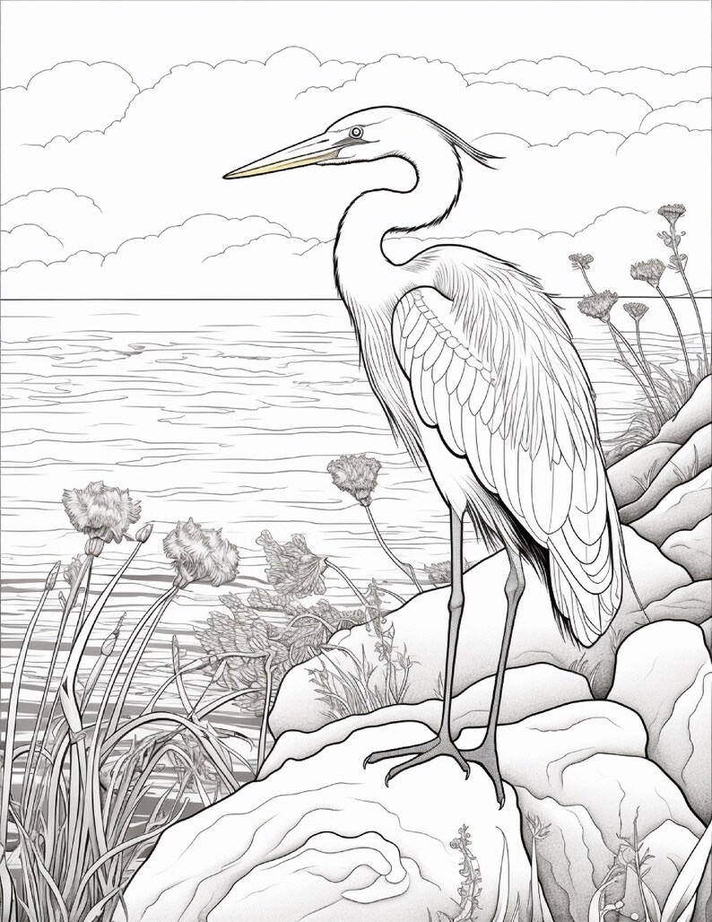 K&ouml;nnte beinhalten: Eine schwarz-wei&szlig;e Strichzeichnung eines gro&szlig;en Reihers, der auf einem felsigen Ufer steht. Der Vogel hat einen langen Hals und einen spitzen Schnabel und ist vor einer Kulisse aus ruhigem Wasser, entfernten Wolken und wilden K&uuml;stenpflanzen zu sehen.