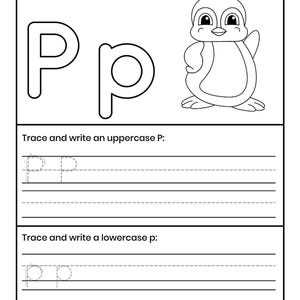 Pu&ograve; includere: Una scheda didattica in bianco e nero con il testo Color the letter Pp and a Penguin, il contorno delle lettere maiuscola e minuscola Pp, un pinguino in stile cartoon e righe per tracciare e scrivere la P maiuscola e la p minuscola.