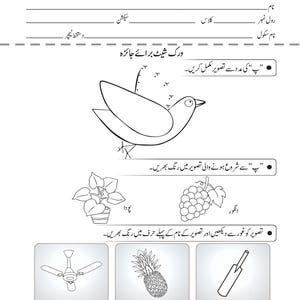 An Urdu review worksheet featuring a connect-the-dots bird illustration, coloring activities for plants and grapes, and multiple-choice letter identification boxes.