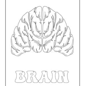 A coloring page showing a black outline of a brain above the outlined text reading BRAIN.