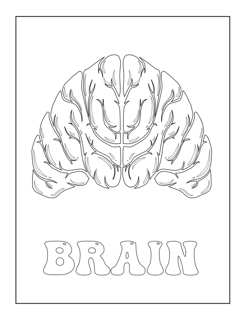 A coloring page showing a black outline of a brain above the outlined text reading BRAIN.