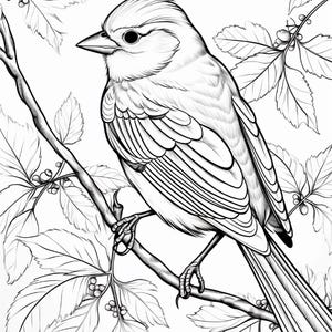 May include: A black and white line art illustration of a small bird perched on a thin branch. The bird is shown in profile, surrounded by detailed leaves and small berries. The drawing features clean, bold outlines and fine shading lines.