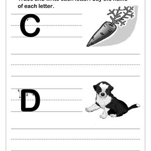 May include: An educational worksheet with the text Name, Trace and write each letter. Say the name of each letter. It features a large uppercase C next to a carrot illustration and a large uppercase D next to a puppy illustration on lined paper.