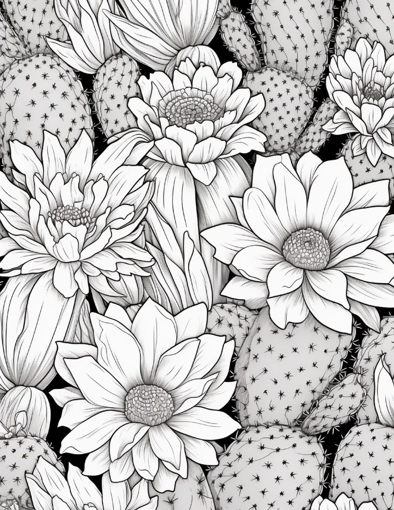 Pode incluir: Uma ilustra&ccedil;&atilde;o de arte linear em preto e branco apresentando um padr&atilde;o denso de flores de cacto em flora&ccedil;&atilde;o e palmas de cacto. O desenho detalhado mostra v&aacute;rias flores grandes de p&eacute;talas m&uacute;ltiplas entre v&aacute;rios segmentos de cacto.