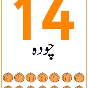 K&ouml;nnte beinhalten: Eine wei&szlig;e Lernkarte mit der gro&szlig;en orangefarbenen Zahl 14 im oberen Bereich, gefolgt von Text in einer nicht-lateinischen Schrift und zwei Reihen mit je sieben orangefarbenen K&uuml;rbisillustrationen, umrandet von einem d&uuml;nnen orangefarbenen Rahmen.