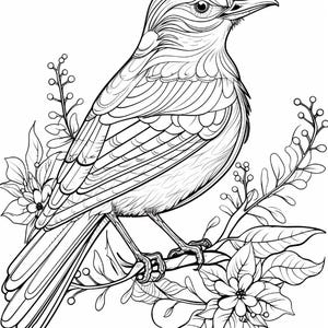 May include: A black and white line art illustration of a bird perched on a branch. The bird features intricate feather patterns and is surrounded by stylized leaves, small berries, and a flower. The design is clean with bold outlines.