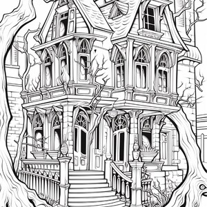 May include: A black and white line art illustration of a multi-story Victorian house with intricate architectural details, arched windows, a wrap-around porch, and a staircase leading to the front entrance, framed by large, gnarled tree branches.