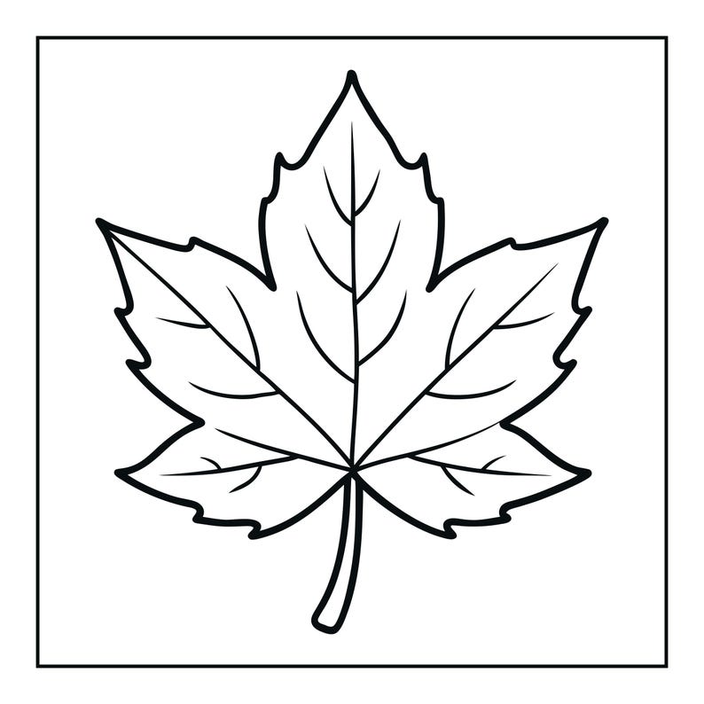 May include: A black and white line drawing of a maple leaf centred within a square frame. The illustration features a bold outline and internal veins, showcasing the classic five-pointed shape of the leaf with a short stem at the bottom.