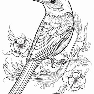 May include: A black and white line art illustration of a bird perched on a flowering branch. The bird features detailed feather patterns and a long tail, surrounded by two open blossoms and leafy stems, rendered in a clean, bold outline style.