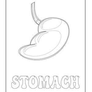 A coloring page showing a black outline of a stomach above the outlined text reading STOMACH.