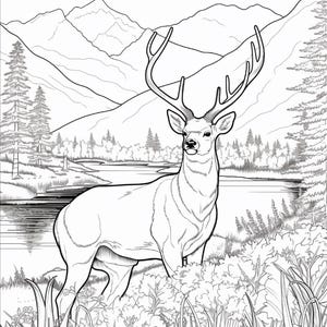 K&ouml;nnte beinhalten: Eine schwarz-wei&szlig;e Malvorlage mit der Illustration eines gro&szlig;en Hirsches mit markantem Geweih, der auf einer grasbewachsenen Wiese steht. Im Hintergrund flie&szlig;t ein ruhiger Fluss an einem dichten Kiefernwald unter hohen Bergen vorbei.