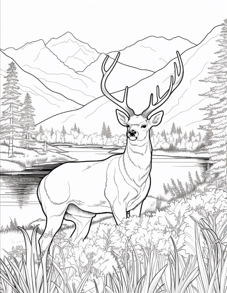 K&ouml;nnte beinhalten: Eine schwarz-wei&szlig;e Malvorlage mit der Illustration eines gro&szlig;en Hirsches mit markantem Geweih, der auf einer grasbewachsenen Wiese steht. Im Hintergrund flie&szlig;t ein ruhiger Fluss an einem dichten Kiefernwald unter hohen Bergen vorbei.