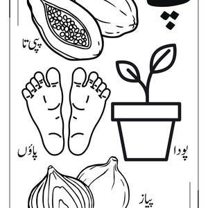 May include: A black and white educational colouring page featuring line art illustrations of a papaya, a pair of feet, a potted plant, and an onion. Each item is accompanied by Urdu text labels including the characters for papaya, feet, plant, and onion.