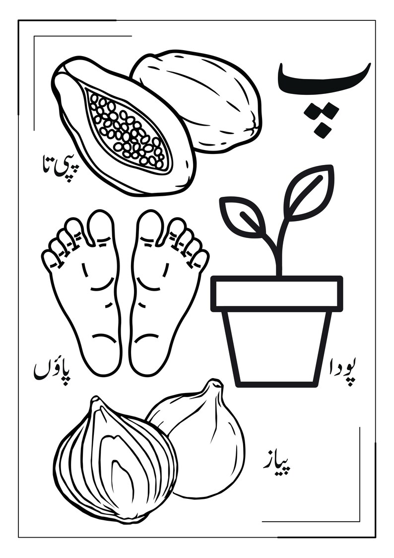 May include: A black and white educational colouring page featuring line art illustrations of a papaya, a pair of feet, a potted plant, and an onion. Each item is accompanied by Urdu text labels including the characters for papaya, feet, plant, and onion.