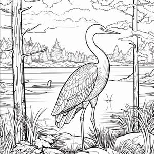 K&ouml;nnte beinhalten: Eine schwarz-wei&szlig;e Malvorlage mit der Illustration eines gro&szlig;en Reihers, der an einem felsigen Ufer steht. Die Szene zeigt einen ruhigen See, ferne Kiefern und zwei gro&szlig;e B&auml;ume, die den Vogel einrahmen. Ein kleines Tier schwimmt im Wasser.