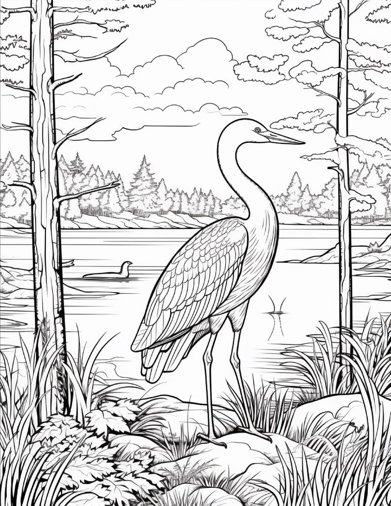 K&ouml;nnte beinhalten: Eine schwarz-wei&szlig;e Malvorlage mit der Illustration eines gro&szlig;en Reihers, der an einem felsigen Ufer steht. Die Szene zeigt einen ruhigen See, ferne Kiefern und zwei gro&szlig;e B&auml;ume, die den Vogel einrahmen. Ein kleines Tier schwimmt im Wasser.