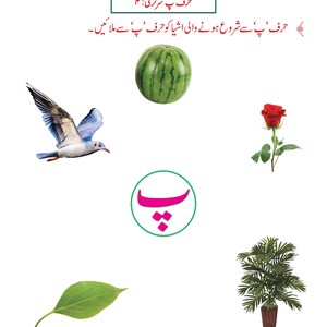 Urdu-alfabetet med bokstaven Alif-arbetsblad | Handstilsövning, handstilsigenkänning (148 PDF-sidor) bild 17