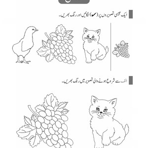 Peut inclure: Une feuille d'exercices &eacute;ducative en noir et blanc pr&eacute;sentant des illustrations au trait d'un poussin, d'une grappe de raisin et d'un chaton. La page comprend des instructions en ourdou pour colorier et identifier les images correspondantes.