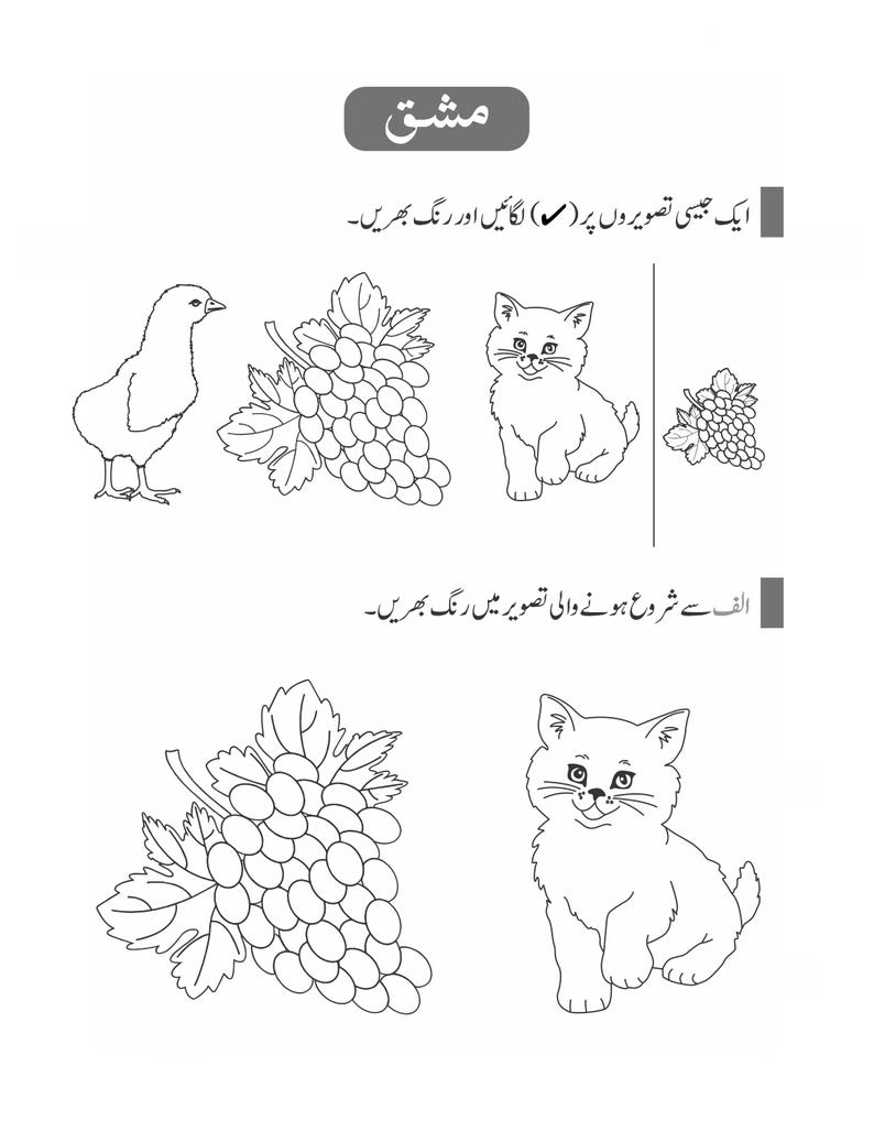 Peut inclure: Une feuille d'exercices &eacute;ducative en noir et blanc pr&eacute;sentant des illustrations au trait d'un poussin, d'une grappe de raisin et d'un chaton. La page comprend des instructions en ourdou pour colorier et identifier les images correspondantes.