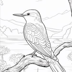 K&ouml;nnte beinhalten: Eine schwarz-wei&szlig;e Strichzeichnung als Malvorlage, die einen Vogel auf einem Ast zeigt. Der Hintergrund zeigt eine Landschaft mit einem Fluss, fernen Bergen und Blattwerk. Der Vogel hat detaillierte Federn, einen spitzen Schnabel.