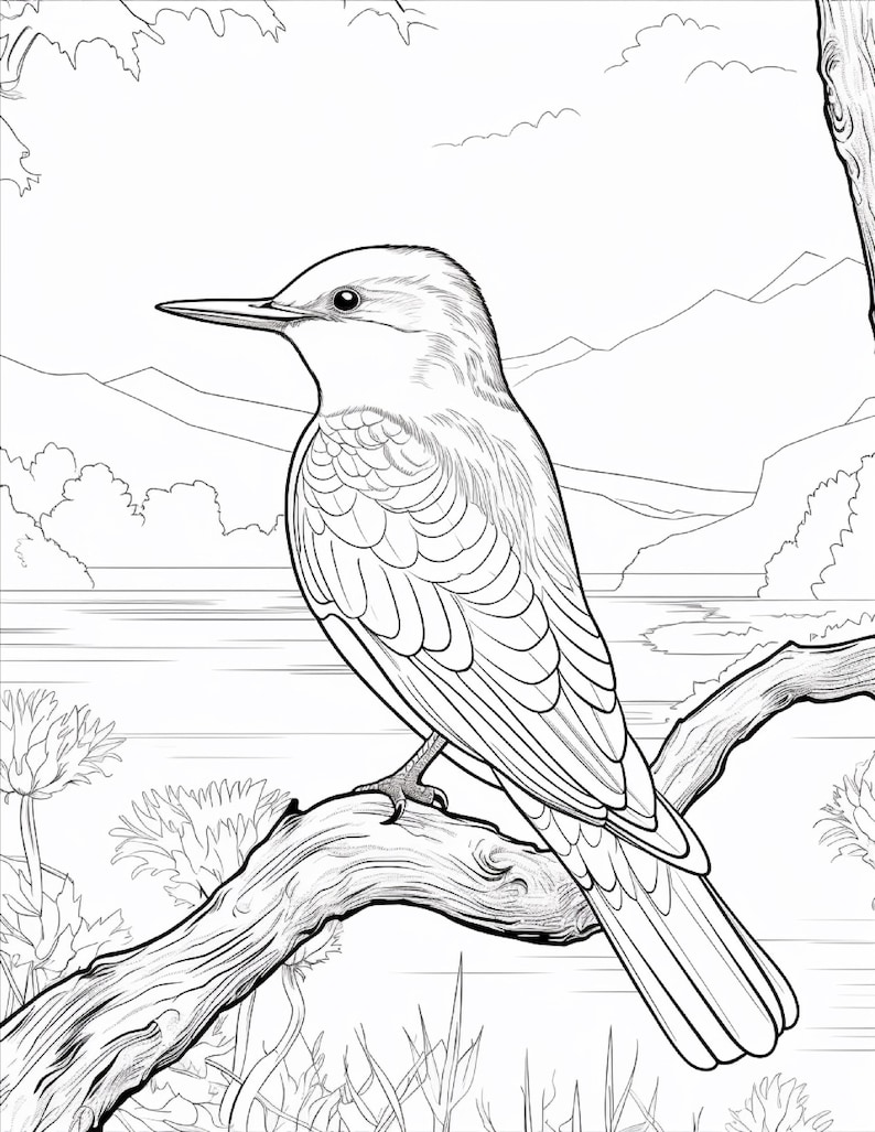 K&ouml;nnte beinhalten: Eine schwarz-wei&szlig;e Strichzeichnung als Malvorlage, die einen Vogel auf einem Ast zeigt. Der Hintergrund zeigt eine Landschaft mit einem Fluss, fernen Bergen und Blattwerk. Der Vogel hat detaillierte Federn, einen spitzen Schnabel.