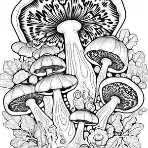 May include: A black and white line art illustration featuring a cluster of various mushrooms of different sizes. The drawing includes detailed gills under the caps, smooth stems, and surrounding foliage with intricate leaf patterns and textures.