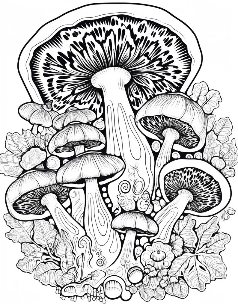 May include: A black and white line art illustration featuring a cluster of various mushrooms of different sizes. The drawing includes detailed gills under the caps, smooth stems, and surrounding foliage with intricate leaf patterns and textures.