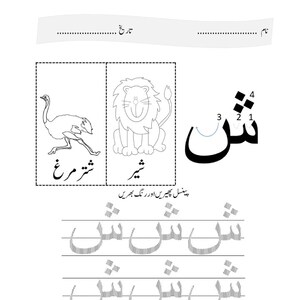 An Urdu letter tracing worksheet featuring an ostrich and a lion alongside the letter Sheen with directional arrows and dotted practice lines.