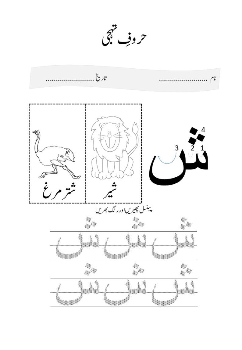Może przedstawiać: Edukacyjny arkusz ćwiczeń do nauki znaku alfabetu urdu sheen. Zawiera ilustracje strusia i lwa, znak z ponumerowaną kolejnością kresek oraz dwa rzędy wykropkowanych kontur&oacute;w do ćwiczenia pisania po śladzie.