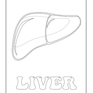 A coloring page showing a black outline of a liver above the outlined text reading LIVER.