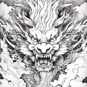May include: A black and white line art illustration featuring a detailed dragon head facing forward with an open mouth, sharp teeth, and intense eyes. The dragon is surrounded by stylized flowing clouds and intricate swirling patterns throughout.