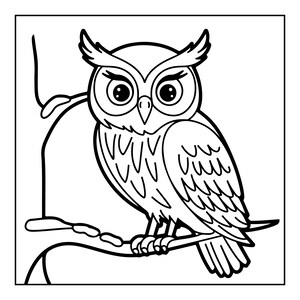 May include: A black and white line art illustration of an owl perched on a tree branch. The owl features large, round eyes with prominent eyelashes, tufted ears, and detailed feather patterns on its chest and wings, set within a square frame.
