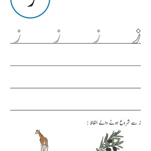 An Urdu handwriting worksheet showing tracing guides for the letter Zay, with illustrations of a giraffe and an olive branch with olives.