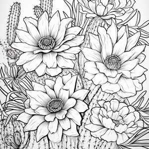 Pode incluir: Uma ilustra&ccedil;&atilde;o de arte linear em preto e branco apresentando v&aacute;rias flores de cacto desabrochando com p&eacute;talas em camadas e centros detalhados. A composi&ccedil;&atilde;o inclui caules de cacto espinhosos e folhas longas e finas ao redor das flores.