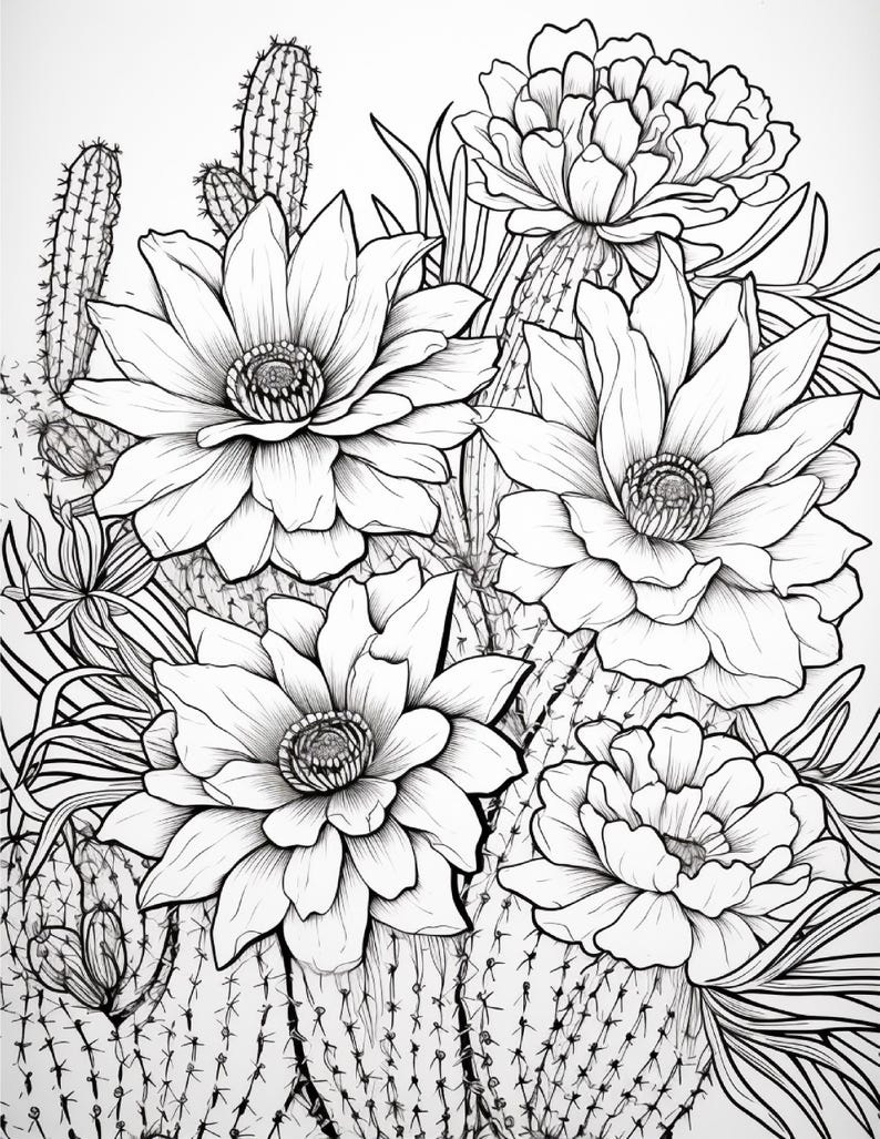 Pode incluir: Uma ilustra&ccedil;&atilde;o de arte linear em preto e branco apresentando v&aacute;rias flores de cacto desabrochando com p&eacute;talas em camadas e centros detalhados. A composi&ccedil;&atilde;o inclui caules de cacto espinhosos e folhas longas e finas ao redor das flores.