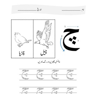 An Urdu tracing worksheet showing the letter Chay with numbered stroke arrows, alongside illustrations of a small bird and an eagle.