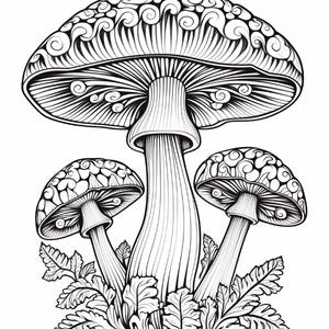 May include: A black and white line art illustration featuring three mushrooms of varying sizes. The mushroom caps display intricate swirling patterns, while the stems are vertically lined. Fern-like foliage surrounds the base of the stalks.