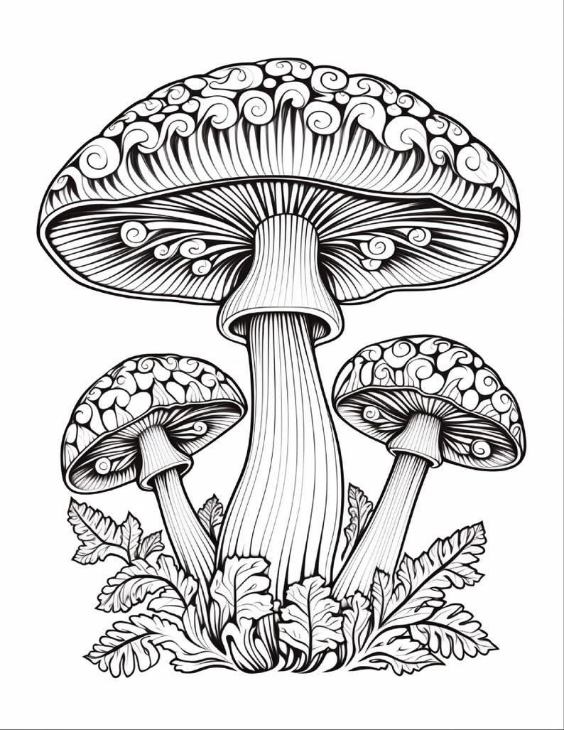 May include: A black and white line art illustration featuring three mushrooms of varying sizes. The mushroom caps display intricate swirling patterns, while the stems are vertically lined. Fern-like foliage surrounds the base of the stalks.