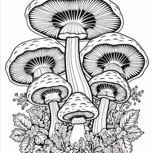 May include: A black and white line art illustration featuring a cluster of five mushrooms of varying sizes. The mushrooms have detailed gills underneath their caps and are surrounded by intricate foliage, leaves, and small decorative vines.