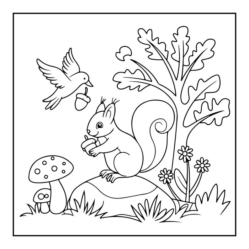 K&ouml;nnte beinhalten: Eine schwarz-wei&szlig;e Malvorlage mit einer Illustration eines Eichh&ouml;rnchens, das auf einem Stein sitzt und eine Eichel h&auml;lt, einem Vogel, der mit einer Eichel dar&uuml;ber fliegt, einem Pilz, einem Baum mit Eichenbl&auml;ttern und kleinen Blumen.