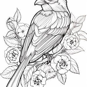 May include: A black and white line art illustration featuring a bird perched on a flowering branch. The bird is depicted with detailed feather patterns, while the surrounding blossoms and leaves are rendered with clean, bold outlines and shading.