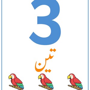 K&ouml;nnte beinhalten: Eine wei&szlig;e Lernkarte mit einer gro&szlig;en blauen Zahl 3 oben, dem arabischen Wort f&uuml;r drei in orangefarbenem Text darunter und drei Illustrationen von roten, gr&uuml;nen und blauen Papageien auf braunen &Auml;sten in einer horizontalen Reihe.