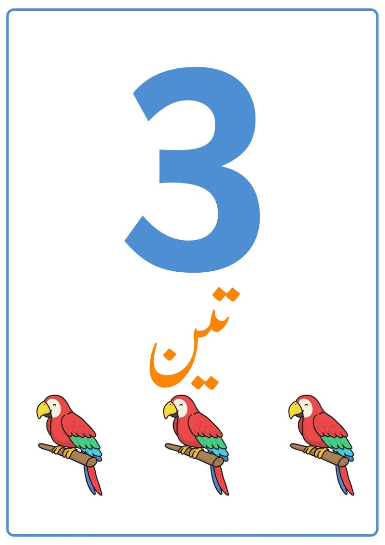 K&ouml;nnte beinhalten: Eine wei&szlig;e Lernkarte mit einer gro&szlig;en blauen Zahl 3 oben, dem arabischen Wort f&uuml;r drei in orangefarbenem Text darunter und drei Illustrationen von roten, gr&uuml;nen und blauen Papageien auf braunen &Auml;sten in einer horizontalen Reihe.