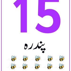 K&ouml;nnte beinhalten: Eine wei&szlig;e Lernkarte mit der gro&szlig;en violetten Zahl 15 oben, gefolgt von dem Wort "پندره" in schwarzer Schrift und f&uuml;nfzehn kleinen Cartoon-Bienen mit gelb-schwarz gestreiften K&ouml;rpern und hellblauen Fl&uuml;geln, die in drei Reihen angeordnet sind.