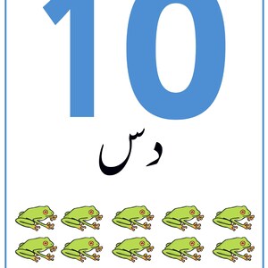 K&ouml;nnte beinhalten: Eine rechteckige Lernkarte mit der gro&szlig;en blauen Zahl 10 oben, dem Wort "دس" in schwarzer arabischer Schrift darunter und zehn kleinen gr&uuml;nen Cartoon-Fr&ouml;schen, die in zwei Reihen zu je f&uuml;nf am unteren Rand der wei&szlig;en Karte angeordnet sind.